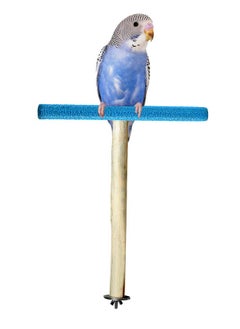 Western Era Sand Wood Perch, Toy, Cage Accessory For Birds (Medium Birds)  - Image 1