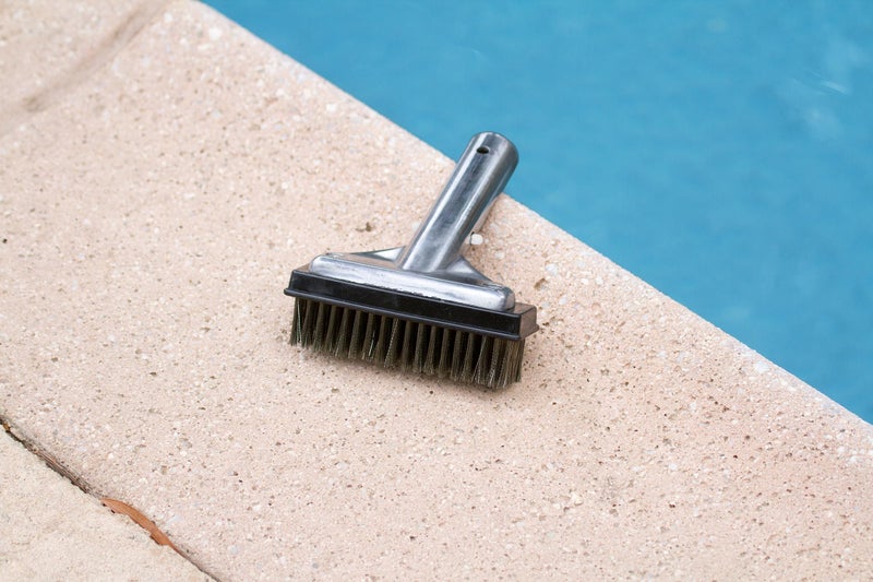 Poolmaster 20178 5-Inch Aluminum-Back Swimming Pool Algae Brush with Stainless Steel Bristles, Classic Collection - Image 2