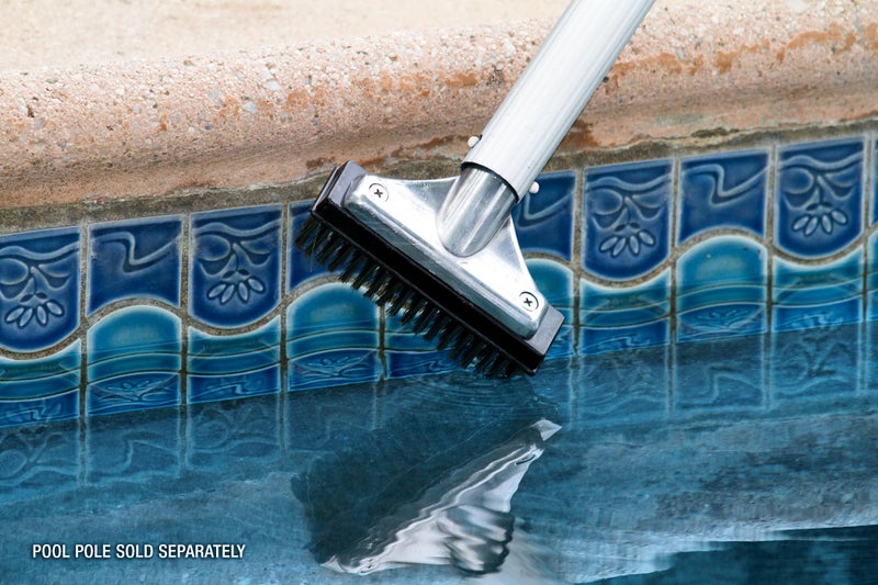 Poolmaster 20178 5-Inch Aluminum-Back Swimming Pool Algae Brush with Stainless Steel Bristles, Classic Collection - Image 3