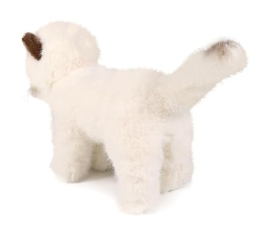 Ice King Bear Little Ragdoll Cat Stuffed Animal Kitten Plush Toy (Standing) - Image 4