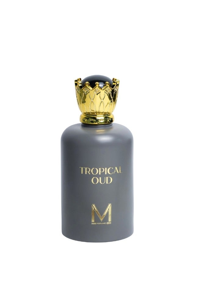 عطور VM تروبيكال عود - أو دو بارفان 100 مل – عطر البرغموت وزهر البرتقال والخزامى والباتشولي مع قاعدة دافئة من المسك - Image 3