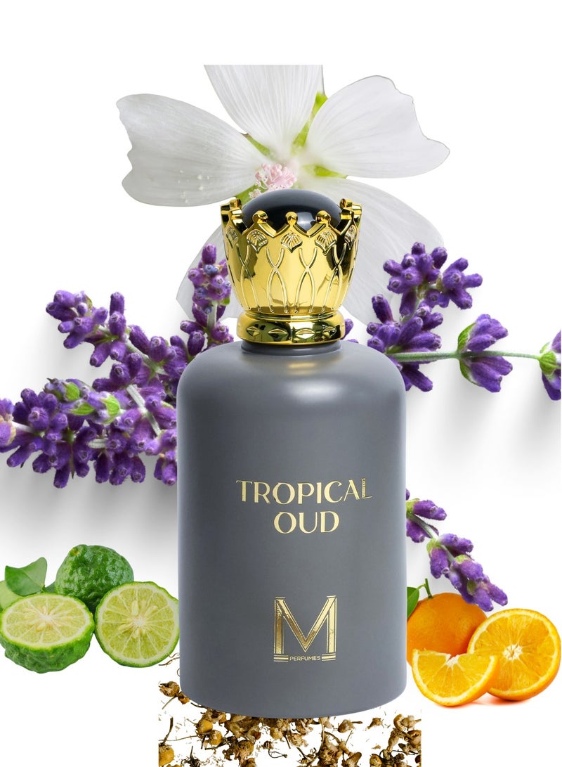 عطور VM تروبيكال عود - أو دو بارفان 100 مل – عطر البرغموت وزهر البرتقال والخزامى والباتشولي مع قاعدة دافئة من المسك - Image 2