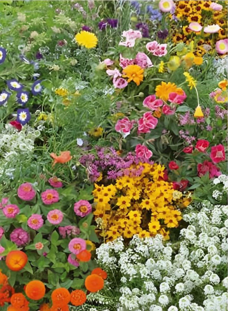 GGOOT Wild Flower Japanese Garden Mix Ornamental Special Mixtures Seeds Medow bee plantting (10 Grams) - Image 2