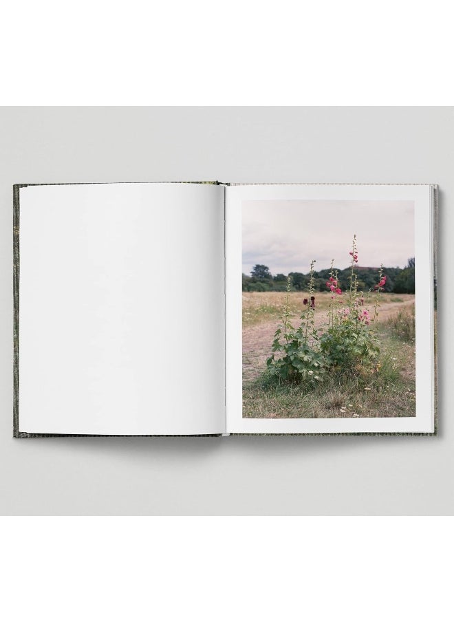 null - The Hackney Marshes - Image 1
