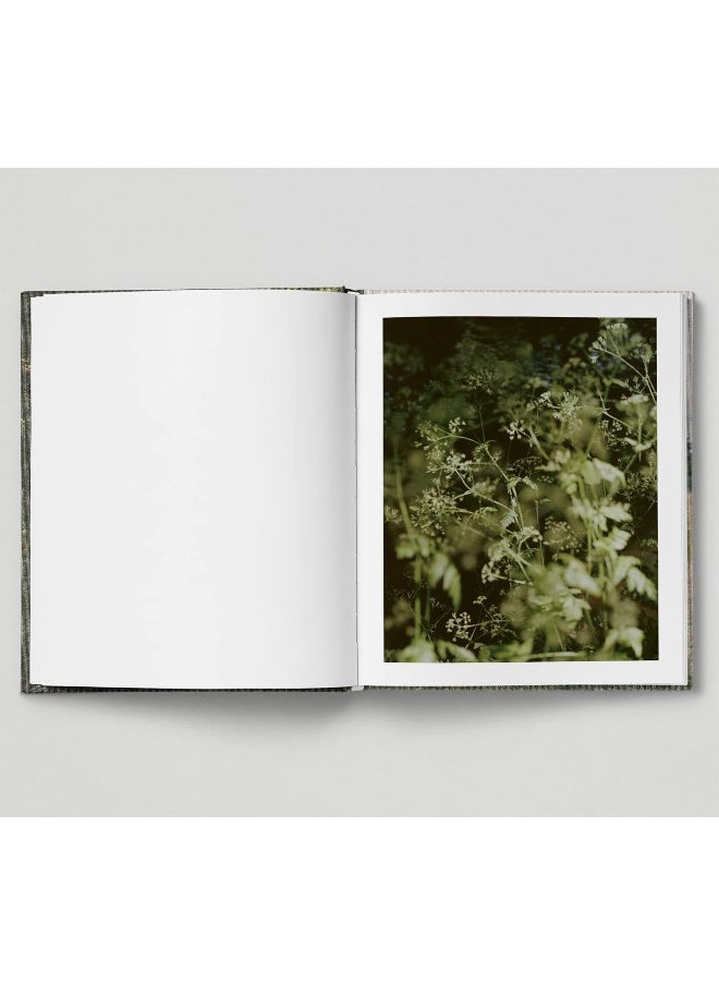null - The Hackney Marshes - Image 1