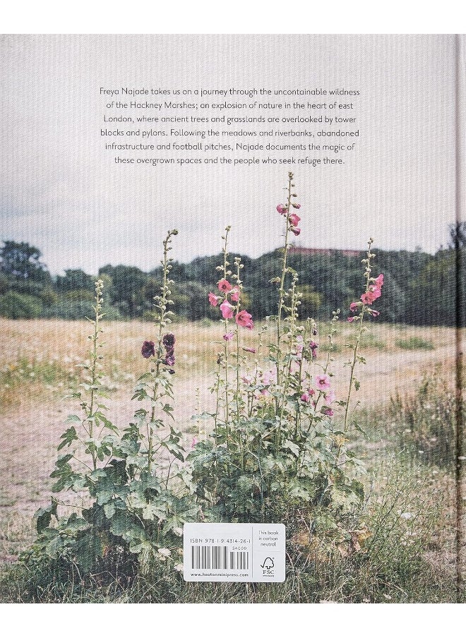 null - The Hackney Marshes - Image 1