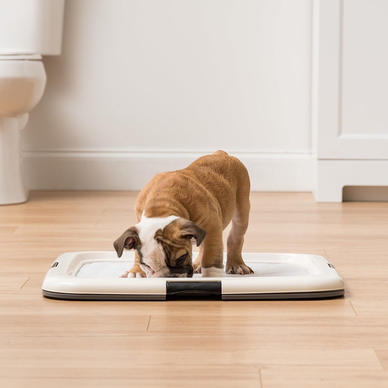 IRIS USA Pee Pad Holder, Square Dog Puppy, Secured Latches, Non-Skid Feet, High Polish Finish for Easy Cleaning, Leak Protection, Indoor Potty Tray, Fits 22"x22" Pad or Larger, Dark Gray - Image 5