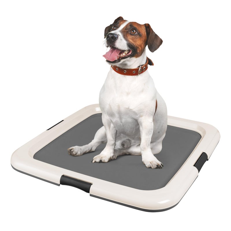 IRIS USA Pee Pad Holder, Square Dog Puppy, Secured Latches, Non-Skid Feet, High Polish Finish for Easy Cleaning, Leak Protection, Indoor Potty Tray, Fits 22"x22" Pad or Larger, Dark Gray - Image 1