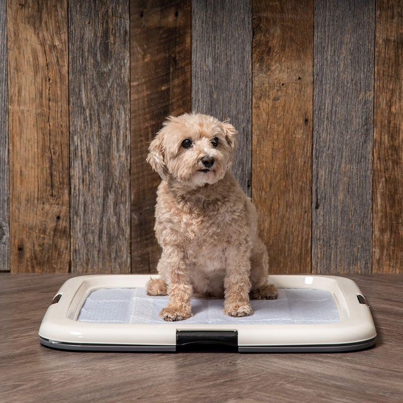 IRIS USA Pee Pad Holder, Square Dog Puppy, Secured Latches, Non-Skid Feet, High Polish Finish for Easy Cleaning, Leak Protection, Indoor Potty Tray, Fits 22"x22" Pad or Larger, Dark Gray - Image 4