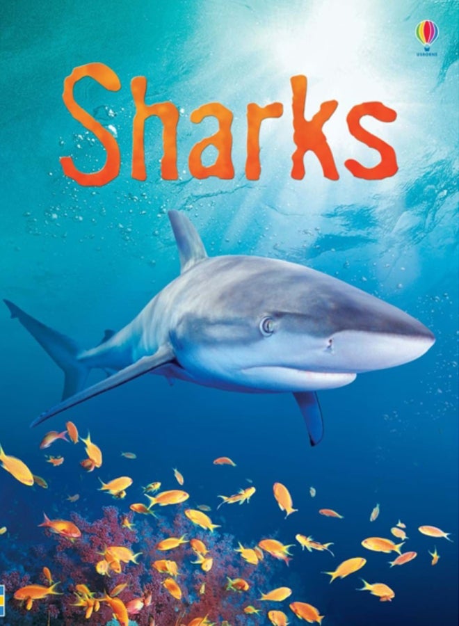Sharks 