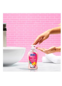 Softsoap Coconut & Hibiscus Scent Hydrating Liquid Hand Soap, Liquid Hand Soap, 11.25 Fl Oz (Pack of 6) - pzsku/Z09C3A8347F2DD876157DZ/45/_/1740598993/257bfb6c-2981-46cf-8908-8bf287ee9297