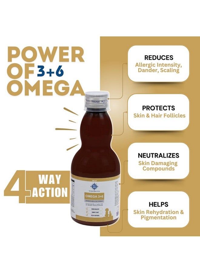 PET360 Omega 3+6 Concentrated Salmon Fish Oil for Dogs & Cats with Vitamins & Minerals | Shinier Coat, Itch & Allergy Control | Improves Skin & Hair Health | Nutritional Supplement for Pets - 200 ml - Image 5