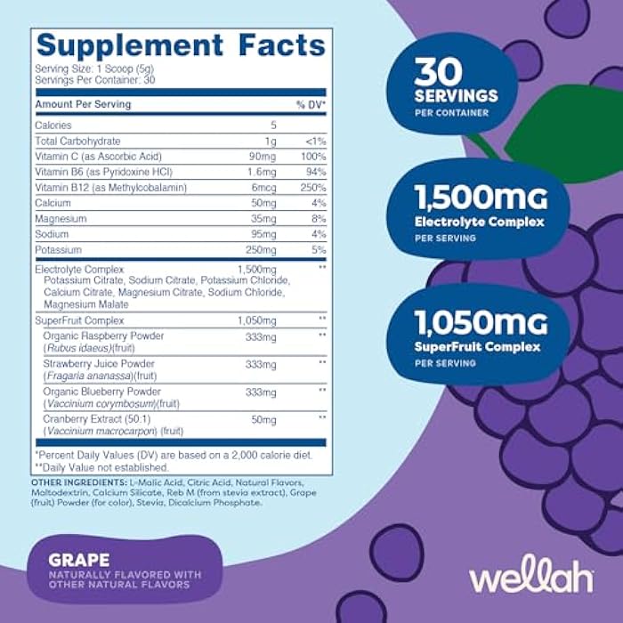 Wellah Splish Splash Hydration Electrolyte Drink Mix (Grape Flavored, 30 Servings) - Image 2
