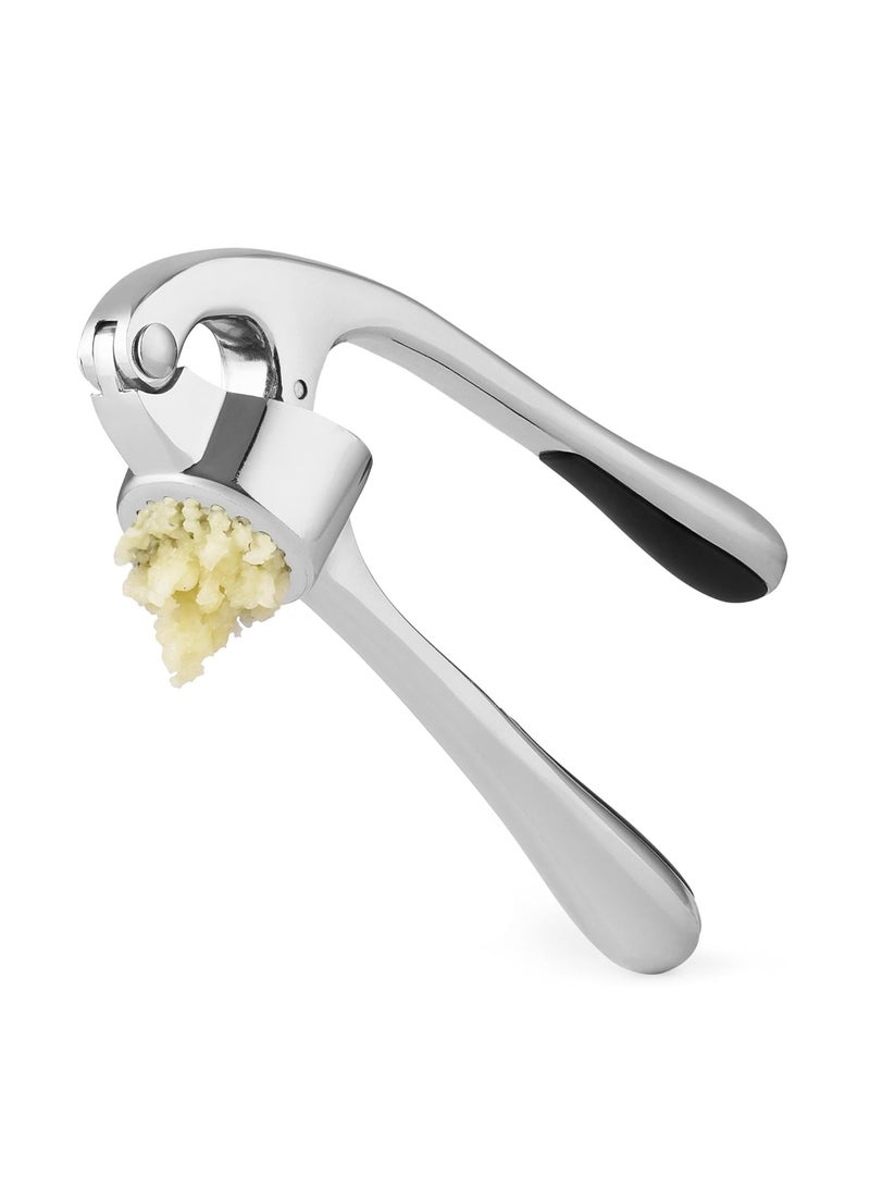 لوبيتيز المتقدمة الثوم الصحافة ، فضي - مانع االصدأ وغسالة صحون الأمن المهنية الثوم سحق أداة - من السهل الضغط ، وسهلة التنظيف ، والتعامل مع لينة ، وبيئة العمل - Image 2