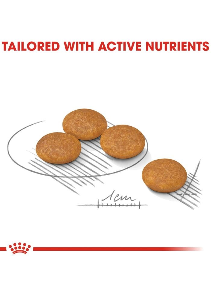 ROYAL CANIN Canine Care Nutrition Mini Dermacomfort 3 KG - Image 2