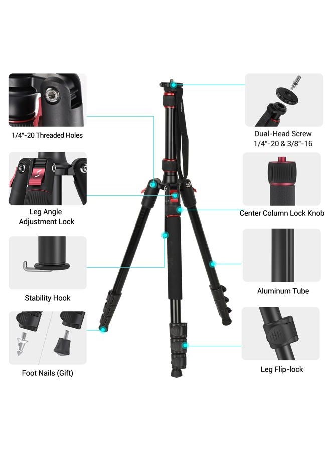 SMALLRIG حامل كاميرا T-10، حامل ثلاثي قابل للطي من الألمنيوم بارتفاع 68" و حامل أحادي، متوافق مع رأس الفيديو 1/4"-20 و 3/8"-16، سعة تحميل 33 رطل، ارتفاع قابل للتعديل من 19.7" إلى 67.7" للكاميرا، الهاتف - 3983 - Image 5
