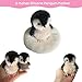 VOLOBE 5 Inches Silicone Penguin Realistic Silicone Animal with Sleeping Pad Accessories for Kids Boy Girl Birthday Christmas Handmade Gift 5 Penguin Mother - Image 4