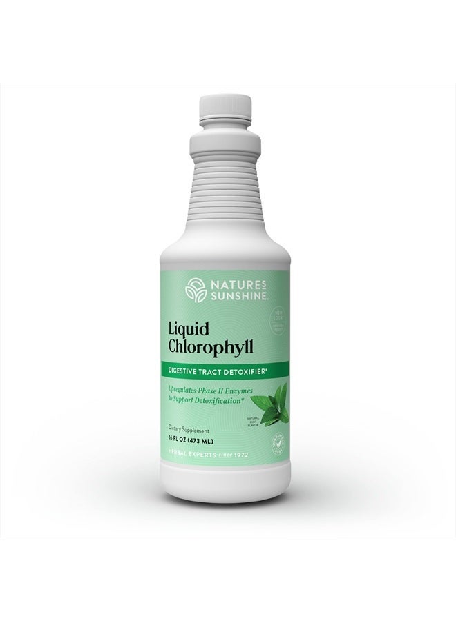 NATURE'S SUNSHINE Liquid Chlorophyll - Immunity Support, Detox & Cleanse, Chlorophyll Liquid Drops with Spearmint Oil, Natural Energy Boost, Internal Deodorant - 16 Fl Oz - Image 1