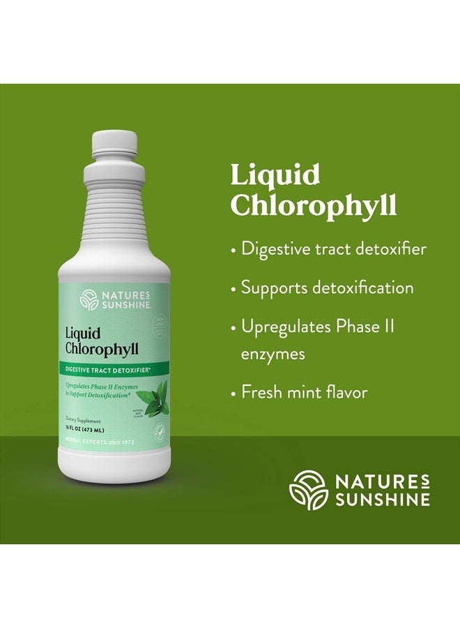 NATURE'S SUNSHINE Liquid Chlorophyll - Immunity Support, Detox & Cleanse, Chlorophyll Liquid Drops with Spearmint Oil, Natural Energy Boost, Internal Deodorant - 16 Fl Oz - Image 4