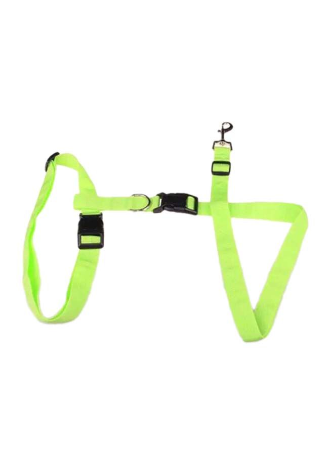 NIBEMINENT 3-Piece Adjustable Hands Free Leash With Waist Belt Green/Black Size 78-140x2.5, 58-100x2.5, Connecting Cord Size- 16x2.5cm - Image 2