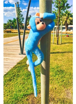 Cute Hugging Sound Monkey Blue - pzsku/Z09CB56E305EA0CE48F4FZ/45/_/1730923927/c11337ba-8f80-4a35-96ed-e67d7144377f