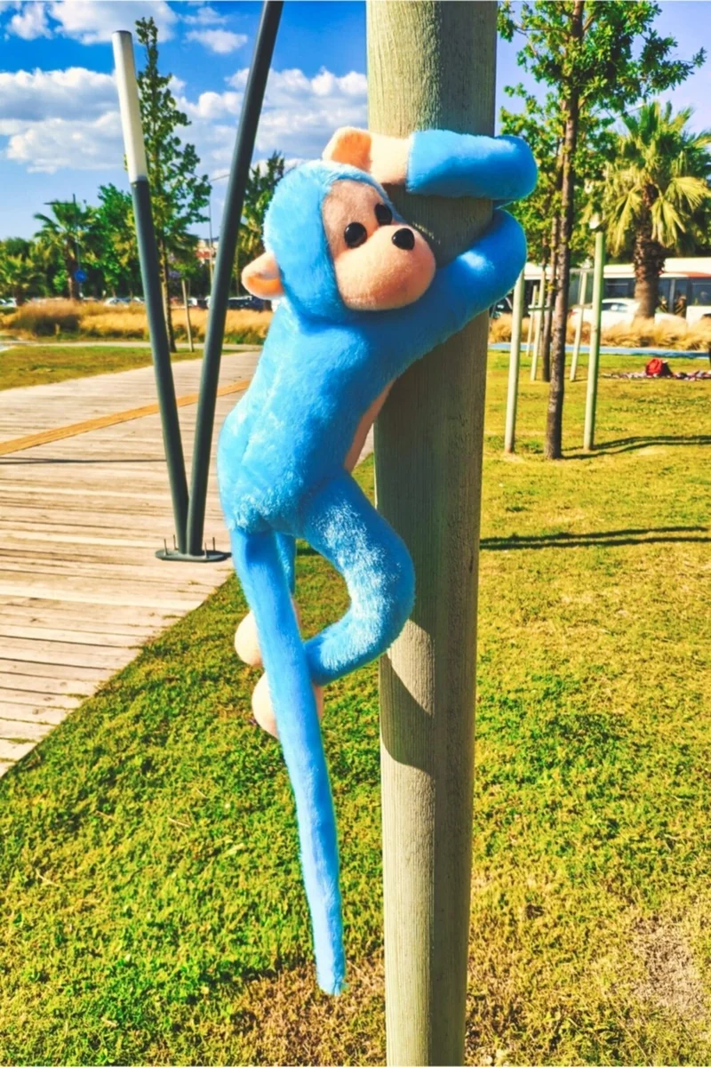 Toprock Store Cute Hugging Sound Monkey Blue