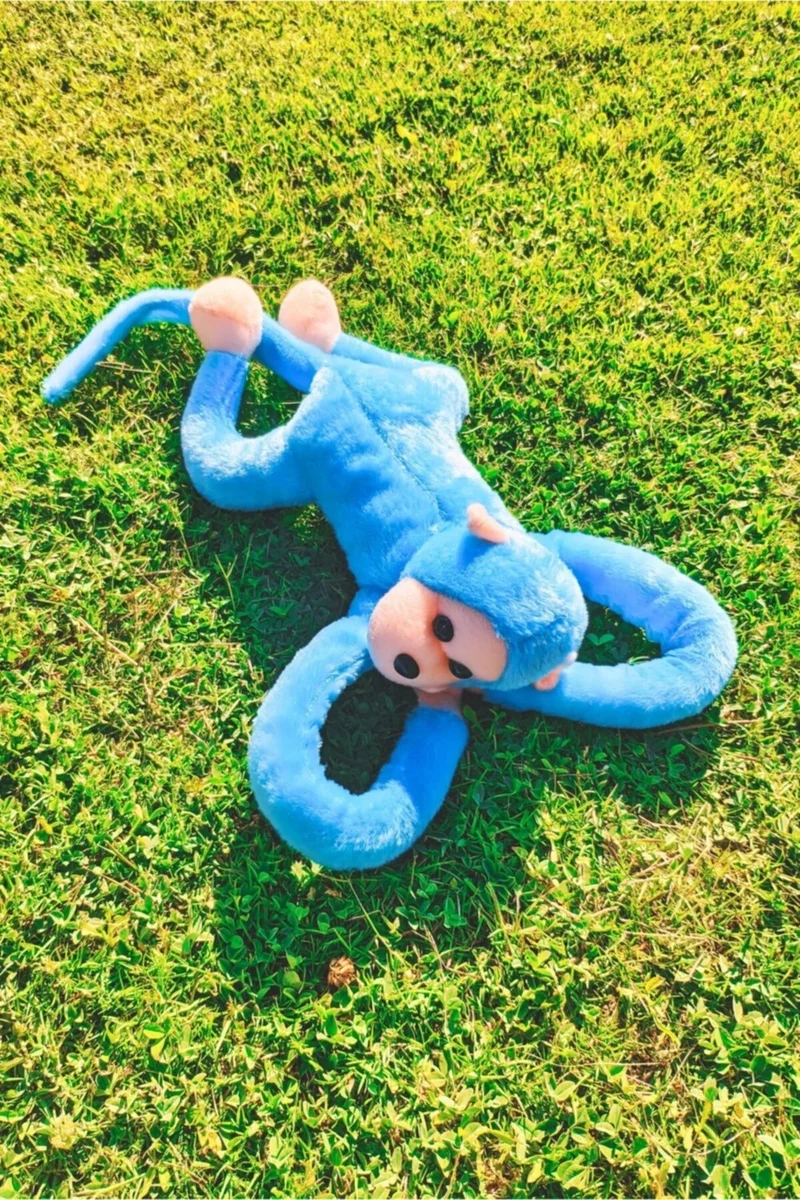 Toprock Store Cute Hugging Sound Monkey Blue