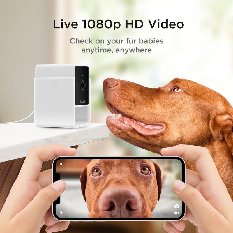 Petcube كاميرا بيتكيوب حزمة 2 | كاميرا أمان للحيوانات الأليفة داخل المنزل مع تطبيق الهاتف، صوت وفيديو ثنائي الاتجاه، رؤية ليلية، فيديو بدقة 1080p HD وتنبيهات ذكية - Image 2
