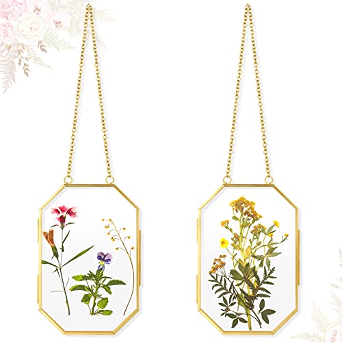Qunclay 2 Pcs Glass Pressed Flower Frames Hanging Picture Clear Floating Octagon Geometric Double Glass Frame for Pressed Flowers DIY Vintage Home Wall Decor Gold4 x 6 Inch