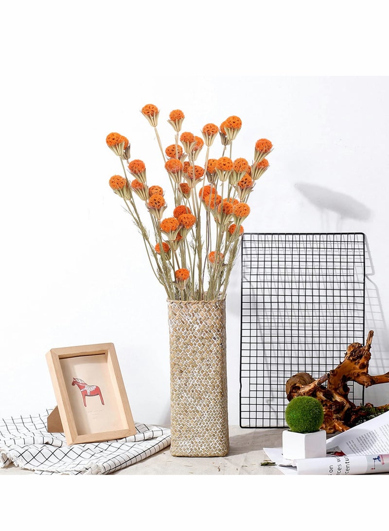 SOLARAE Fall Dried Flower, 40pcs Craspedia Billy Button Balls Flowers Orange Dried Flowers Bulk for Autumn Home Vase Kitchen DIY Wedding Table Decor - Image 2