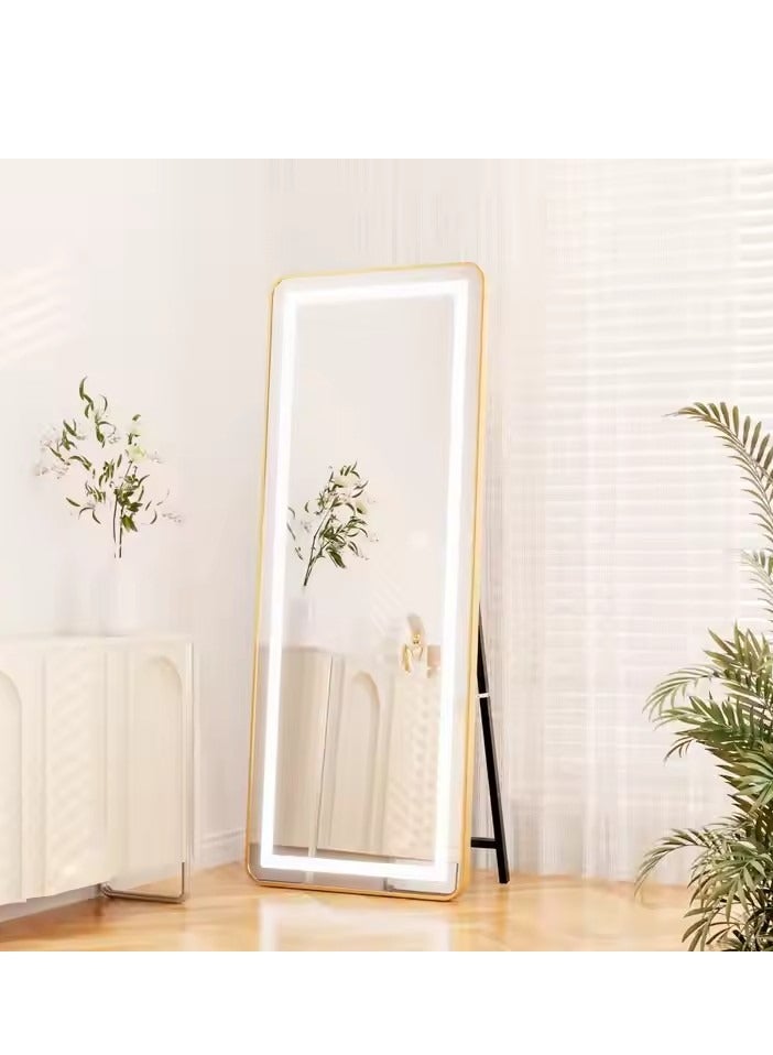Y&D Full Length Mirror with Lights 160 x 50 cm LED Floor Standing Rectangular Mirror Adjustable Brightness & Color Modern Style for Living Room - Image 1