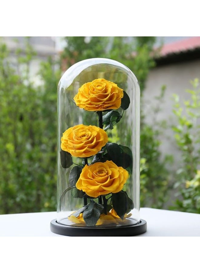 Festive Gallery Handmade Preserved Large Rose Forever Never Withered Flowers,Valentine's Gift for Wedding,Anniversary,Birthday, Mother's Day Gift, Best Gift for Her Rose, 33x17x17 cm (YELLOW)