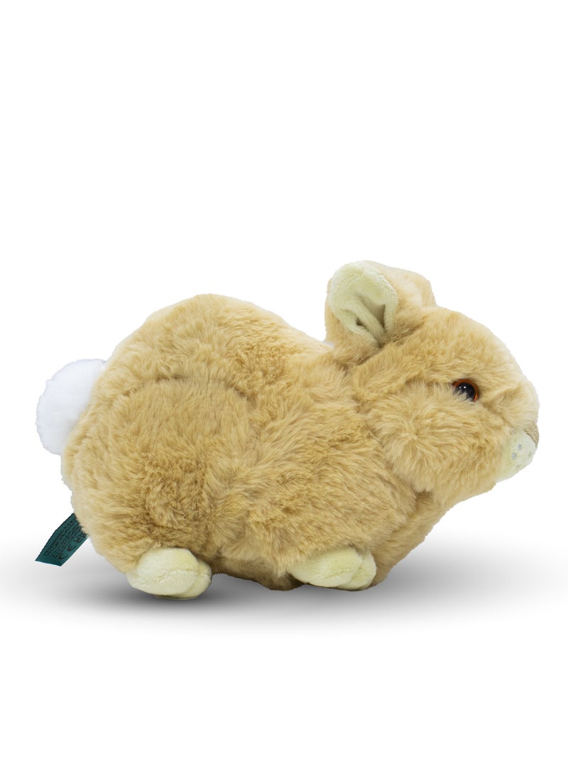Wild Planet - Wild Planet Baby Rabbit - Image 1