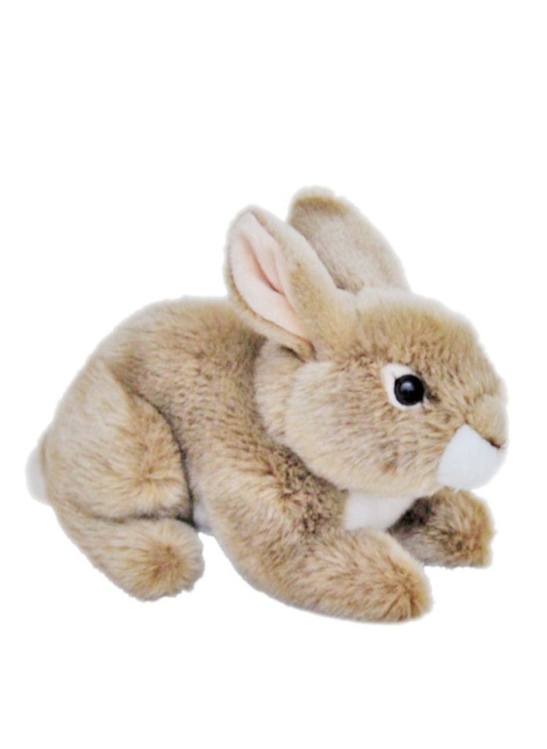Wild Planet - Wild Planet Baby Rabbit - Image 1