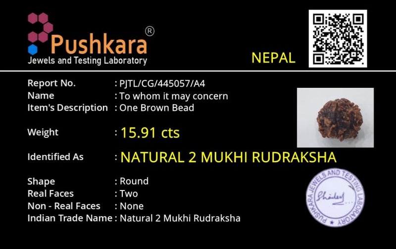 PUSHKARA Natural 2 MUKHI Round RUDRAKSHA Certified - Nepal | Brown | PJTL2M01 - ASTROLOGICAL BENEFITS - UNISEX PENDANTS - POSITIVE ENERGY FOR MEN & WOMEN - Image 3