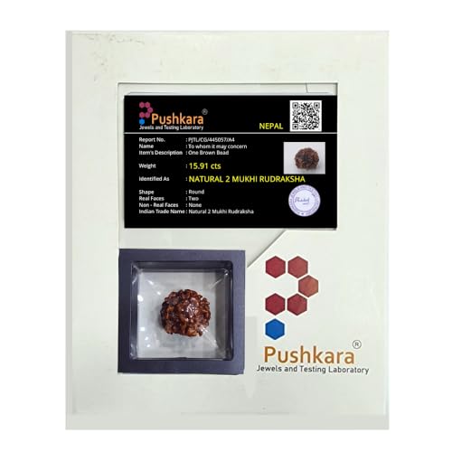 PUSHKARA Natural 2 MUKHI Round RUDRAKSHA Certified - Nepal | Brown | PJTL2M01 - ASTROLOGICAL BENEFITS - UNISEX PENDANTS - POSITIVE ENERGY FOR MEN & WOMEN - Image 2