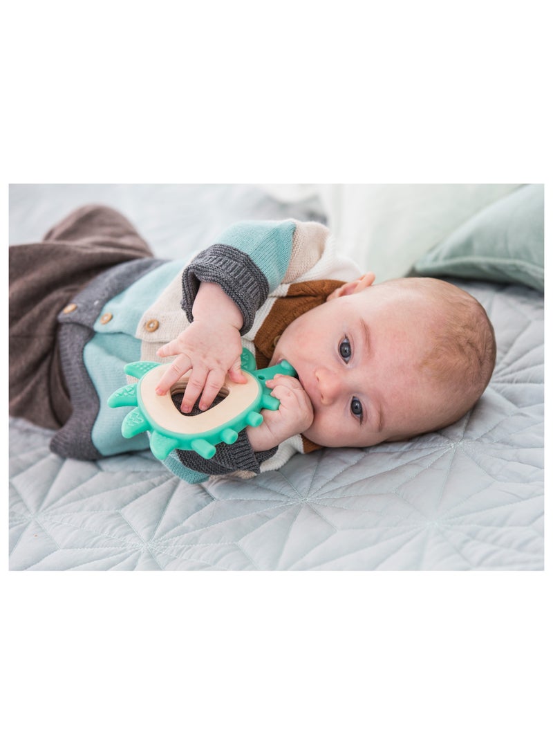 هيب لهاية قنفذ سيليكون خالي من البيسفينول أ، من عمر  شهر، لعبة للتسنين، هدايا ألعاب أطفال، هدايا استحمام الأطفال، تدليك لطيف وتخفيف لثة الطفل، تخفيف ألم لثة الرضع - Image 3