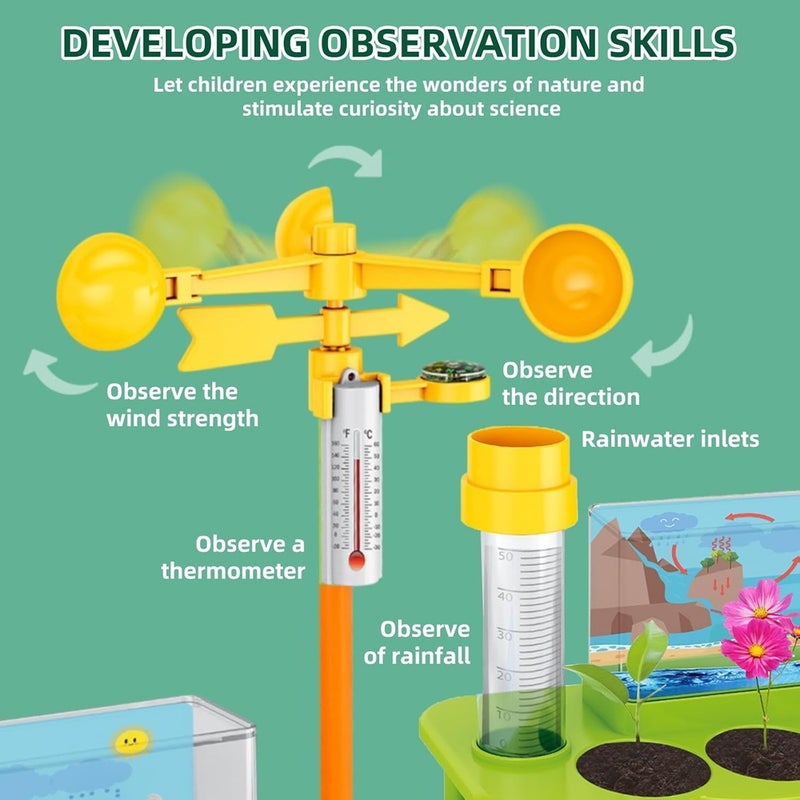 مجموعة محطة الطقس التعليمية - SD552 - Image 2