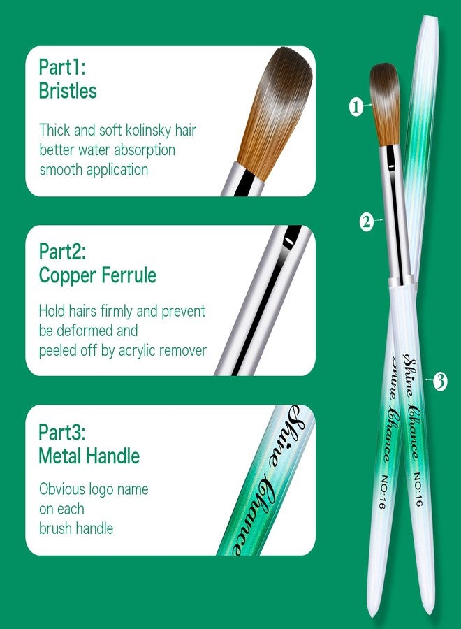 Shine Chance 6 Pcs Nail Brushes Set, Kolinsky Nail Art Brush, Art Design & Polish Mistake Cleaning Manicure Tools for Women - Acrylic Application (Sizes 2, 6, 8, 10, 14, 16) - Image 2