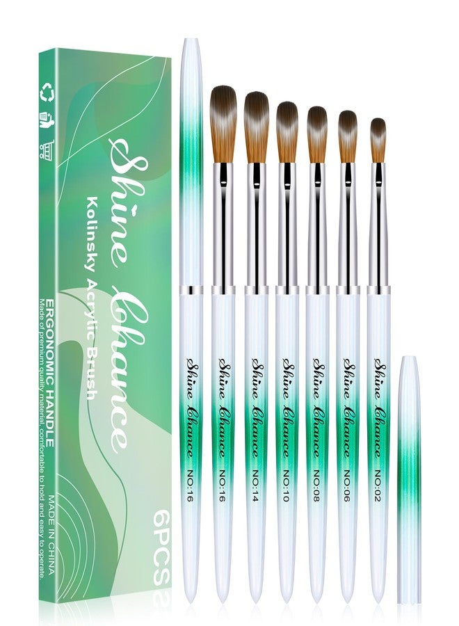 Shine Chance 6 Pcs Nail Brushes Set, Kolinsky Nail Art Brush, Art Design & Polish Mistake Cleaning Manicure Tools for Women - Acrylic Application (Sizes 2, 6, 8, 10, 14, 16) - Image 1