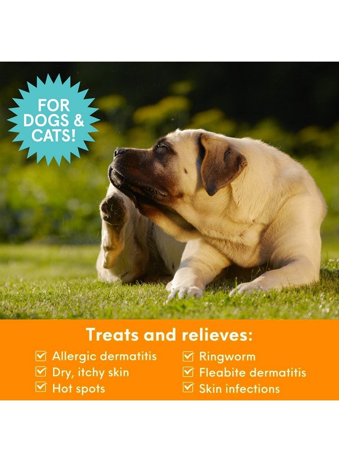 nootie Nootie Medicated Pet Shampoo, Dog Shampoo, Cat Shampoo, Formulated for Veterinarians, Sold in Over 10,000 Vet Clinics Worldwide - 8oz - Image 3