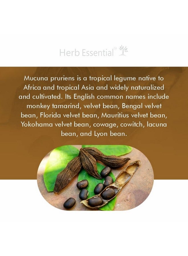 Herb Essential Mucuna Pruriens (Kapikachu | Tablet) 500 Mg, 120 Tablets | 100% Pure and Natural Extracts - Image 4