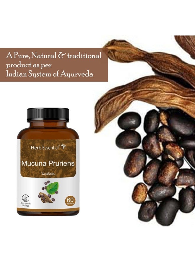 Herb Essential Mucuna Pruriens (Kapikachu | Tablet) 500 Mg, 120 Tablets | 100% Pure and Natural Extracts - Image 5