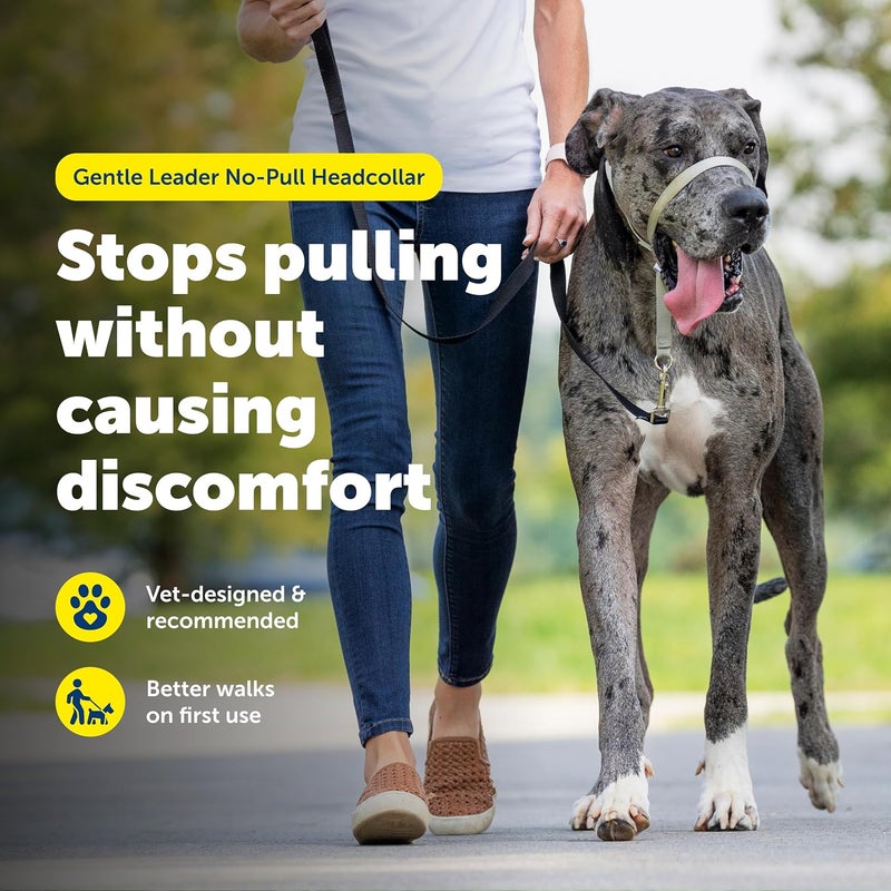 PetSafe Gentle Leader Headcollar - No-Pull Dog Collar for Leash & Harness Training - Extra Large, Black - Image 2