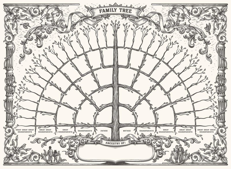 Palace Learning 1 Pack - Family Tree Chart To Fill In - 6 Generation Genealogy Poster - Blank Fillable Ancestry Chart [Version 1] - 18" x 24" - Image 1