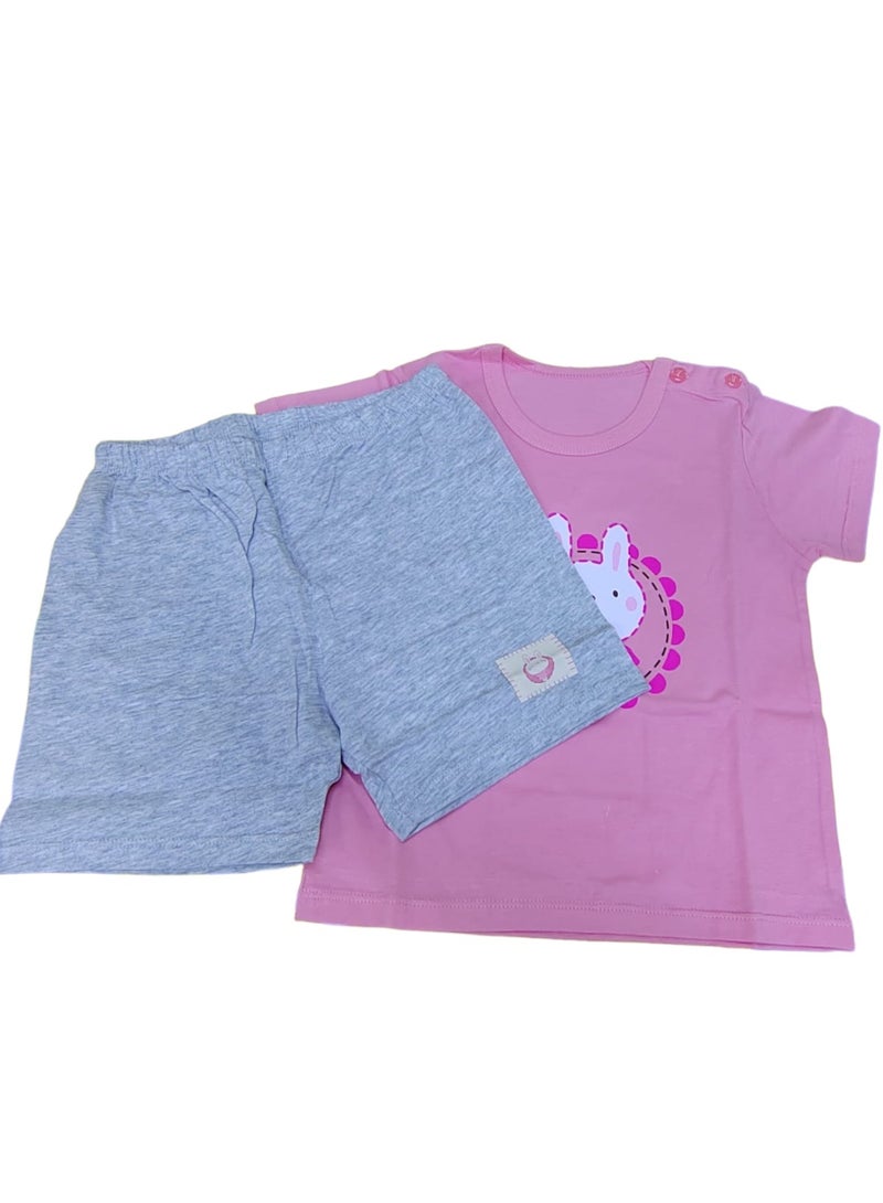 AIWANTO 2 Set  Summer Baby Girl Bunny Cotton Pajama Set T-Shirt & Pants Set Coral Pink & Purple (8-15months) - Image 2