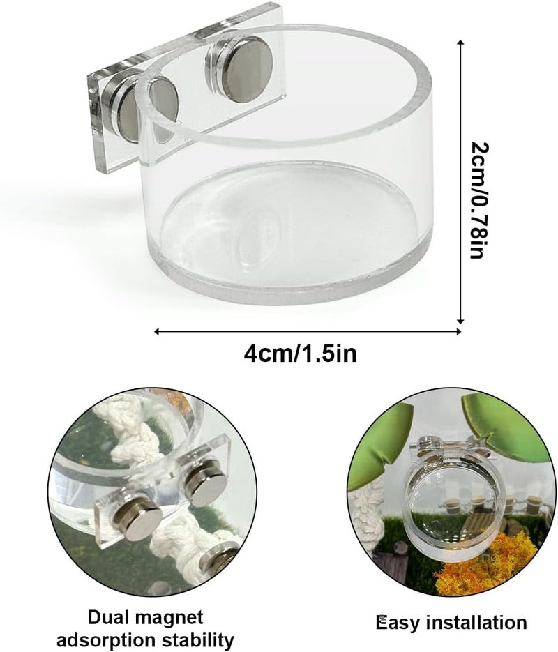 Julang Jumping Spider Feeding Dish Set, Magnetic Water Bowl, Reptile Feeding Tongs, Jumping Spider Enclosure Accessories - 2 Pcs - Image 2
