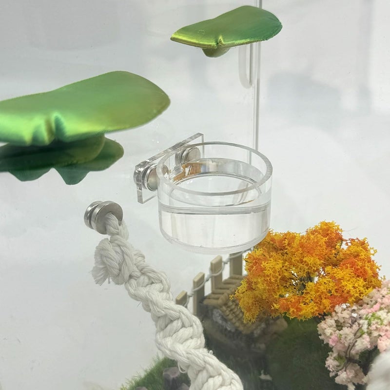 Julang Jumping Spider Feeding Dish Set, Magnetic Water Bowl, Reptile Feeding Tongs, Jumping Spider Enclosure Accessories - 2 Pcs - Image 4