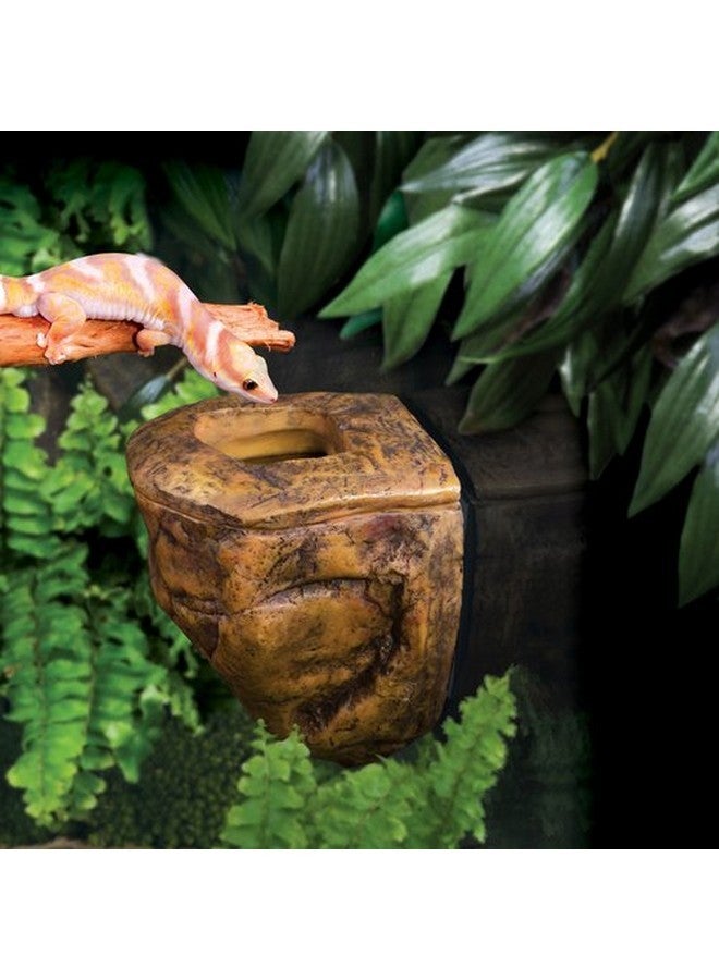 إكسو تيرا طبق دودة مظلة إكسو تيرا - Image 2