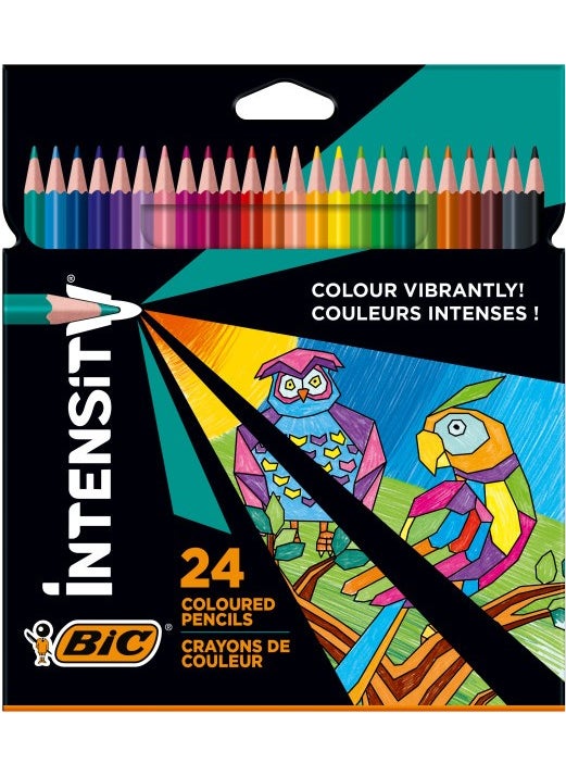 Color Up Intensity Triangle Dry Paint 24 Colors - pzsku/Z09DAD0FE148315239980Z/45/_/1728052805/10bfdad3-7334-429b-8783-960896966a81